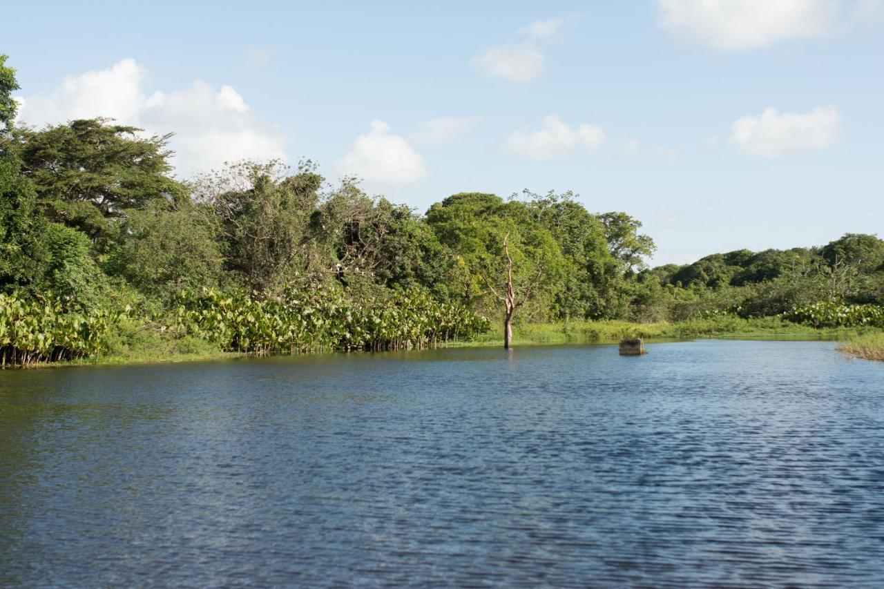 Rio Das Garcas Eco Resort Sao Jose de Mipibu Ngoại thất bức ảnh